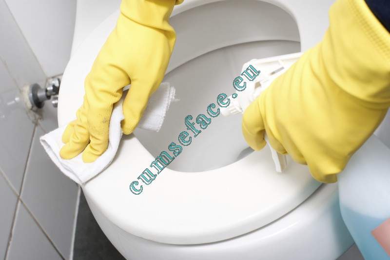 Cum se curata si se igienizeaza vasul de toaleta